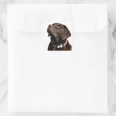 Bruine Chocolade Labrador Retriever Puppy Dog Vierkante Sticker (Tas)