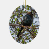 Bruine cowbird keramisch ornament (Rechts)