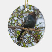 Bruine cowbird keramisch ornament (Links)