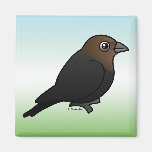 Bruine cowbird magneet (Voorkant)