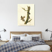 Bruine Creeper, Pygmy Nuthatch uit Audubon's vogel Canvas Afdruk (Insitu (Slaapkamer))