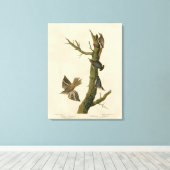Bruine Creeper, Pygmy Nuthatch uit Audubon's vogel Canvas Afdruk (Insitu (Houten vloer))