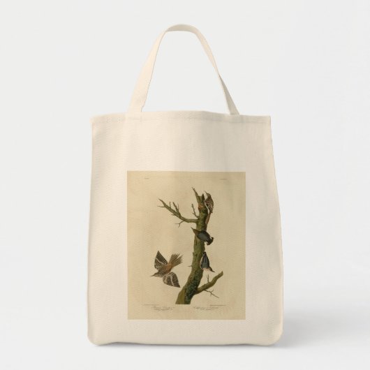 Bruine Creeper, Pygmy Nuthatch uit Audubon's vogel Tote Bag (Voorkant)