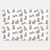 Bruine Crème Glitter Strepen Kat Inpakpapier Vel (Voorkant 3)