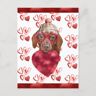 Bruine Dachshund Hartjes Hond Liefhebber Valentijn Feestdagenkaart