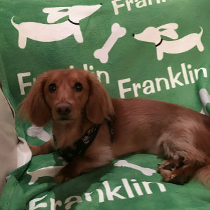 Bruine Dachshund Wiener Dog Custom Deken