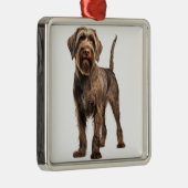 BRUINE DRAADHARIGE WIJZENDE GRIFFON HOND METALEN ORNAMENT (Rechts)