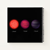 Bruine dwergen zoals gezien door een interstellair notitieboek (Achterkant)