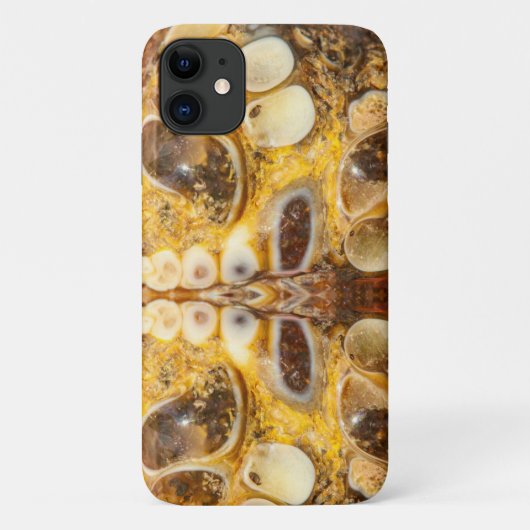 Bruine edelsteen stenen textuur iPhone 11 hoesje (Achterkant)