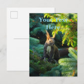 Bruine Eekhoorn Briefkaart (Voorkant / Achterkant)