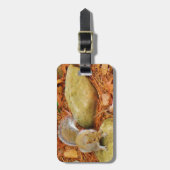 Bruine eekhoorn op Rock Bagagelabel (Voorkant verticaal)