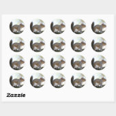 Bruine eekhoorn ronde sticker (Vel)