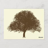  bruine eikenboom op crèmetafelnummer briefkaart (Achterkant)