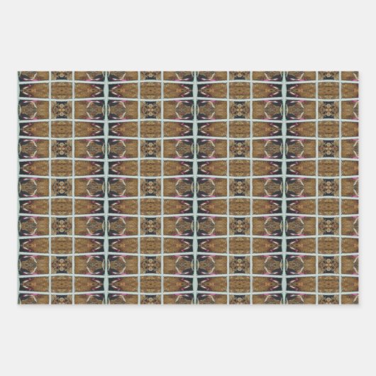 Bruine en beige aardtoon inpakpapier vel (Voorkant 3)