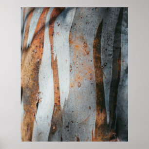 Bruine en grijze boomstam poster