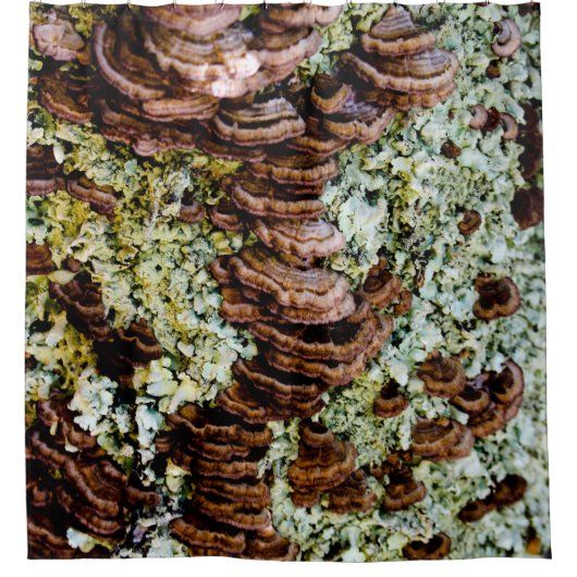 Bruine en groene paddestoel douchegordijn (Voorkant)