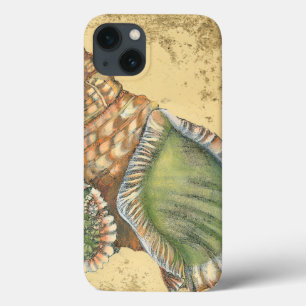 Bruine en groene zeeschelp Case-Mate iPhone case