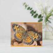 Bruine en Oranje motschildpadden en schitterende a Briefkaart (Staand voorkant)