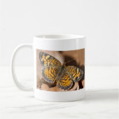 Bruine en Oranje motschildpadden en schitterende a Koffiemok (Links)