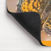 Bruine en Oranje motschildpadden en schitterende a Muismat (Hoek)