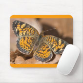 Bruine en Oranje motschildpadden en schitterende a Muismat (Met muis)