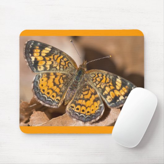 Bruine en Oranje motschildpadden en schitterende a Muismat (Met muis)