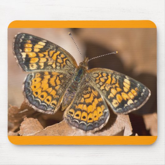 Bruine en Oranje motschildpadden en schitterende a Muismat (Voorkant)