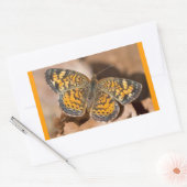 Bruine en Oranje motschildpadden en schitterende a Rechthoekige Sticker (Envelop)