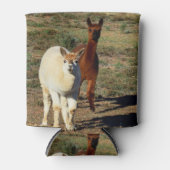 bruine en witte alpaca's, blikjeskoeler (Voorkant)