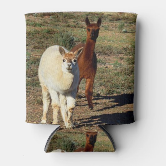 bruine en witte alpaca's, blikjeskoeler (Voorkant)