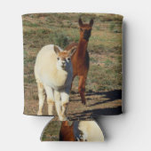 bruine en witte alpaca's, blikjeskoeler (Achterkant)