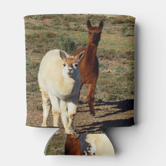 bruine en witte alpaca's, blikjeskoeler (Achterkant)