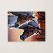 Bruine en witte brumby paarden, puzzel (Horizontaal)
