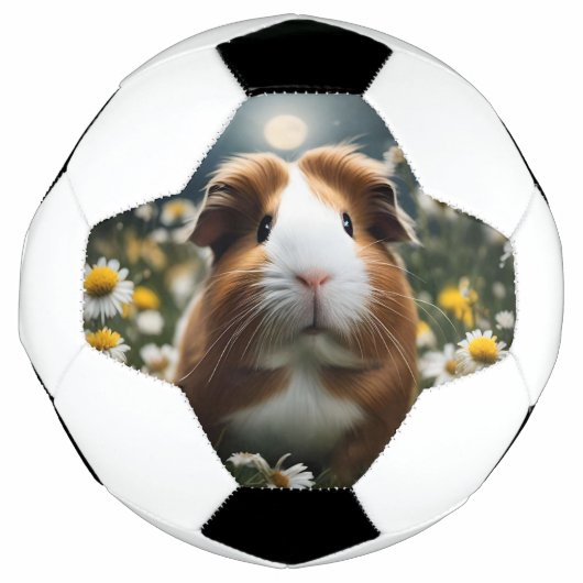 Bruine en witte cavia maan en madeliefjes, voetbal (Voorkant)