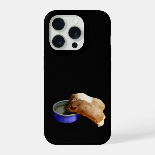 Bruine en witte cavia's, iPhone hoesje (Achterkant)