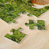 Bruine en witte cavia's, legpuzzel (Zijkant)