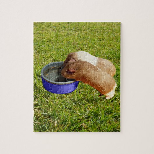 Bruine en witte cavia's, legpuzzel (Verticaal)