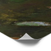 bruine en witte eenden in een hond poster (Hoek)