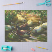 bruine en witte eenden in een portaalse ontkoppel tissuepapier (Craft)