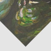 bruine en witte eenden in een portaalse ontkoppel tissuepapier (Detail)