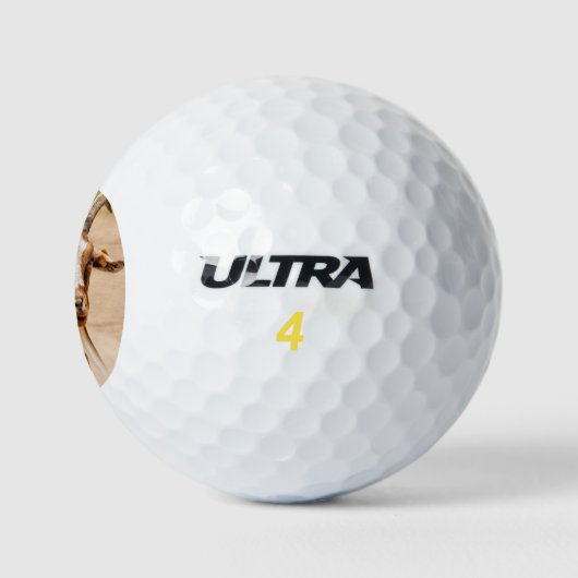 Bruine en witte geit golfballen (Logo)