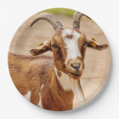 Bruine en witte geit papieren bordje (Voorkant)