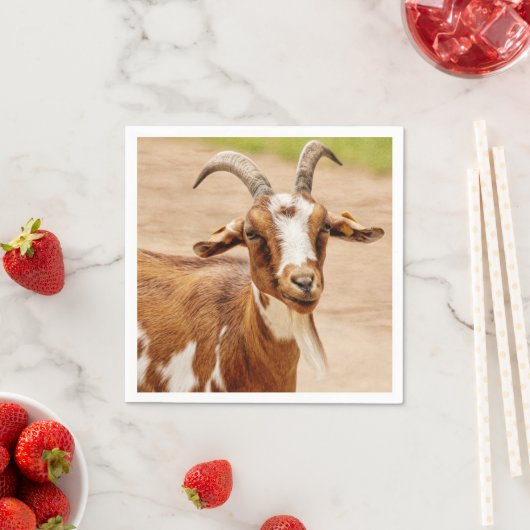 Bruine en witte geit servet (Insitu)