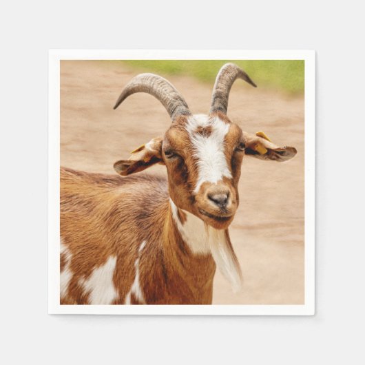 Bruine en witte geit servet (Voorkant)