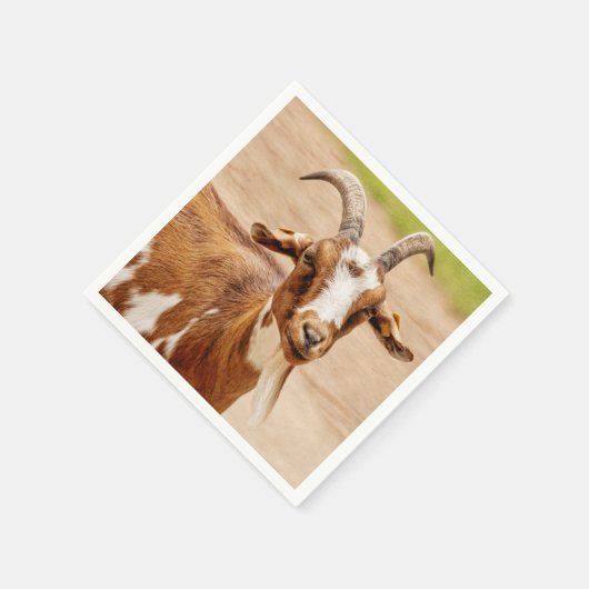 Bruine en witte geit servet (Hoek)