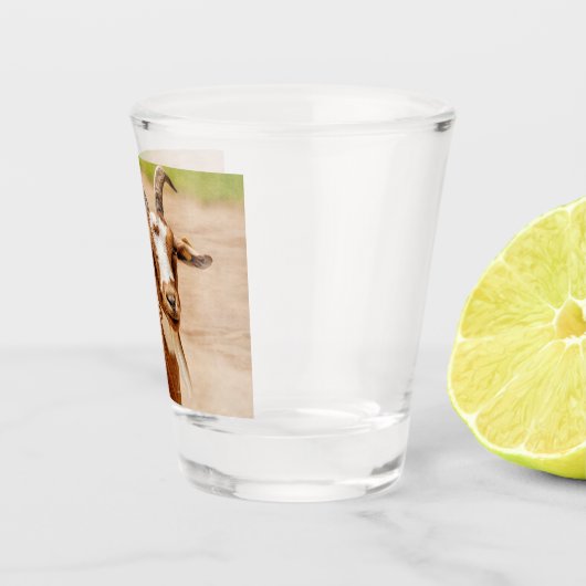 Bruine en witte geit shot glas (Rechts)