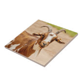 Bruine en witte geit tegeltje (Zijkant)