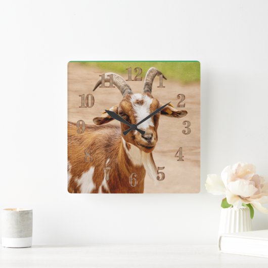 Bruine en witte geit vierkante klok (Huis)