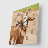 Bruine en witte geit vierkante klok (Hoek)