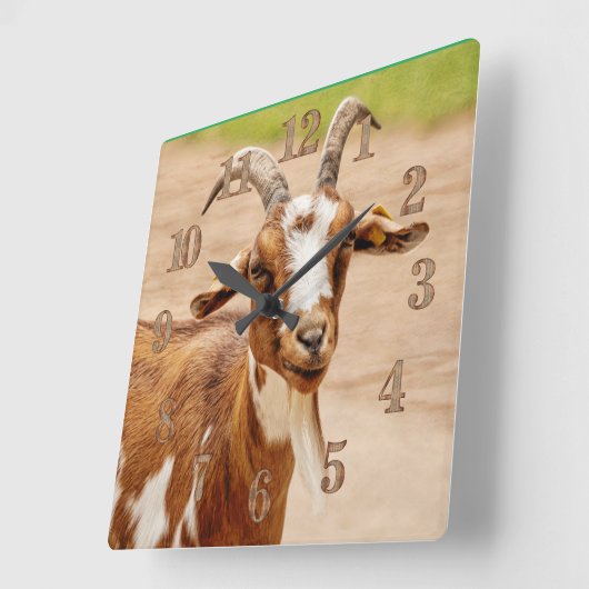 Bruine en witte geit vierkante klok (Hoek)